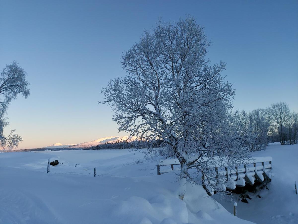 Villmarksgard Tommerstue Hattfjelldal Luaran gambar