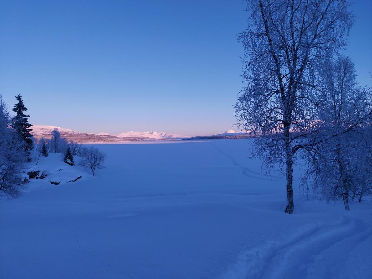 Villmarksgard Tommerstue Hattfjelldal Luaran gambar