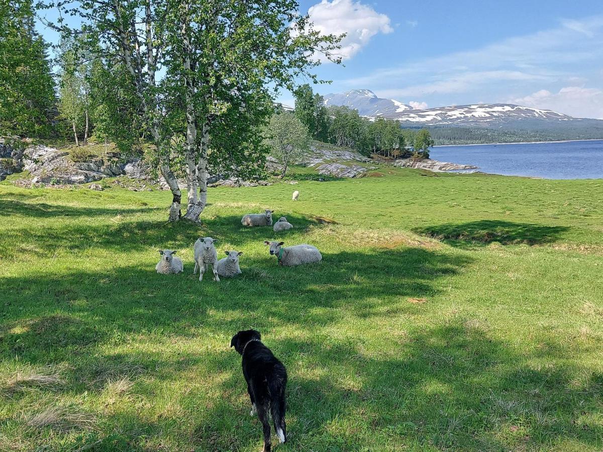 Villmarksgard Tommerstue Hattfjelldal Luaran gambar